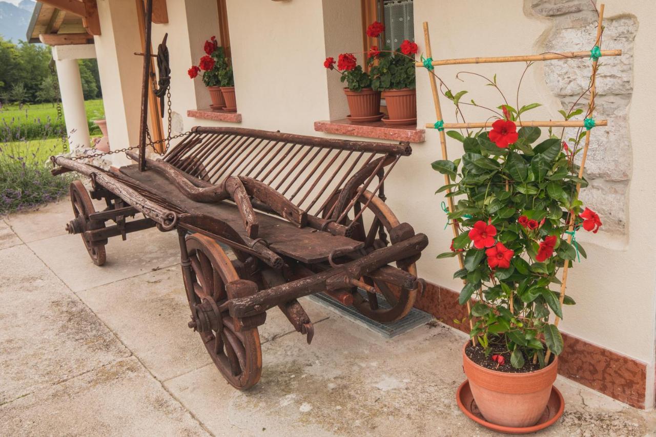 Bed & Breakfast La Tieda - Locazione Turistica Reolon