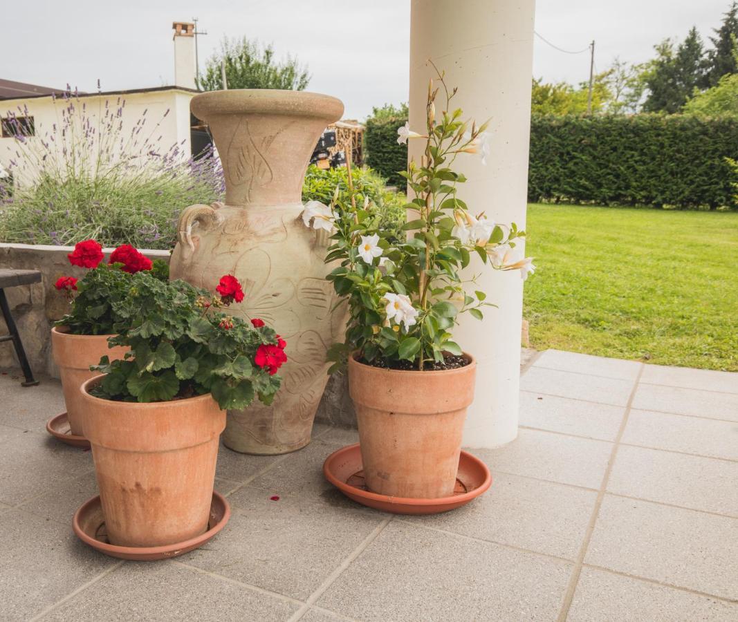 La Tieda - Locazione Turistica Reolon Bed & Breakfast *
